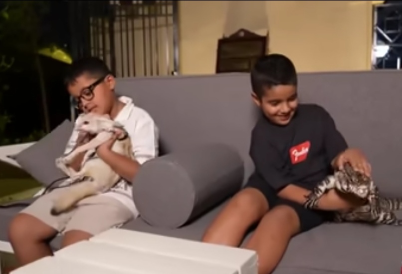 منزل عبد الرحمن الأطفال يلعبون مع الحيوانات&nbsp;