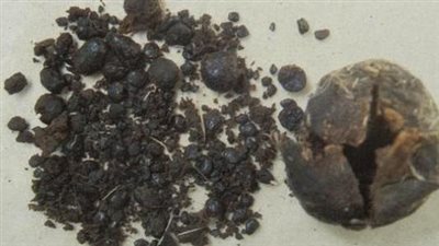 من أين يستخرج المسک الأبيض