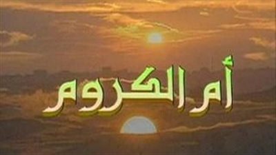 قصة مسلسل أم الكروم