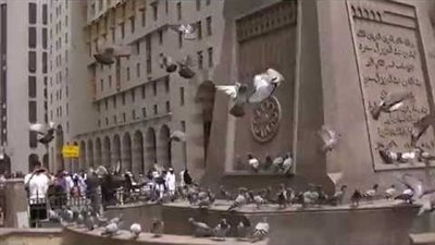 حي باب المجيدي في المدينة المنورة