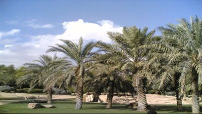 قضاء علي الغربي بوابة ميسان إلى الغرب