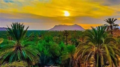 ولاية بشار ولاية جزائرية في الجنوب