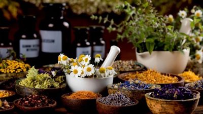 ما هي الأعشاب التي تساعدك على النوم؟ 