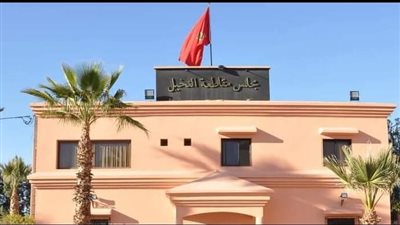 مقاطعة النخيل جنة مراكش الخضراء