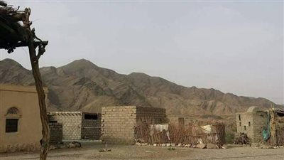 مديرية مجزر أرض القبائل