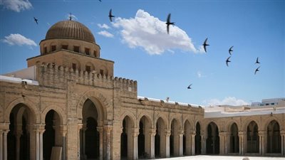 كل ما تريد معرفته عن جامعة القيروان