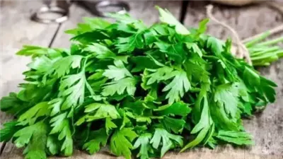 فوائد البقدونس؛ تعرف على أهم المنافع الصحية والجمالية لهذا النبات