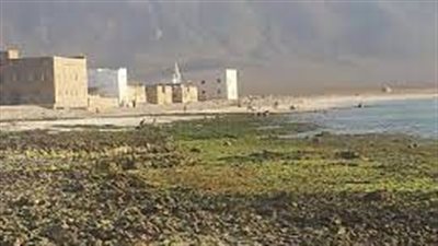 مدينة قلنسية بوابة سقطرى إلى العالم