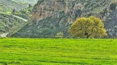 وادي الشتا : جوهرة الطبيعة في الأردن