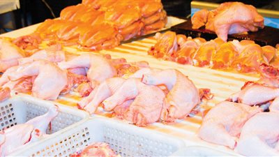 مدير التجارة الداخلية بدمشق يؤكد الانخفاض التدريجي بأسعار الفروج..