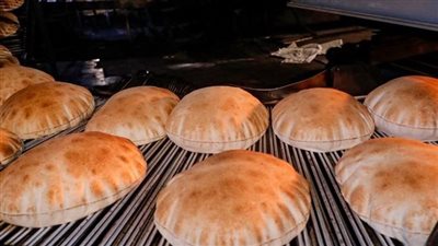 مطالب لا يمكن تنفيذها.. لماذا لا يتم تخصيص أفران لبيع الخبز الحر فقط؟