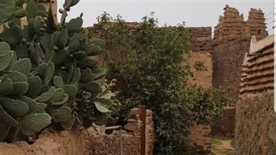 قرية آل علي في السعودية قرية تراثية في جبال السراة