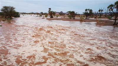 وادي الشقرة واحة خضراء في قلب الصحراء