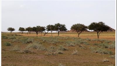 أبو مغير قرية تراثية في الحناكية