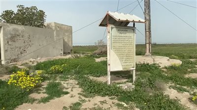 جزيرة مسكان جزيرة تاريخية وطبيعية في الكويت