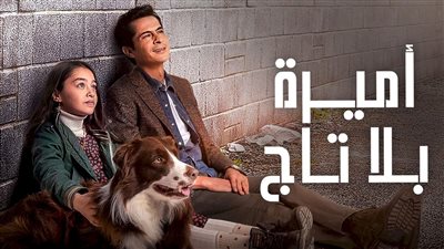 قصة مسلسل أميرة بلا تاج