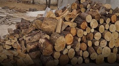 وقف منح رخص نقل الأخشاب والأحطاب والفحم الطبيعي بين المحافظات