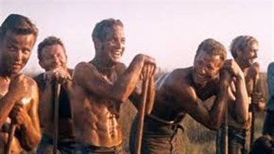 قصة فيلم Cool Hand Luke