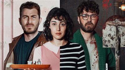 قصة مسلسل fandom