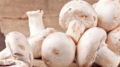 عش الغراب  فوائده وطرق طهيه