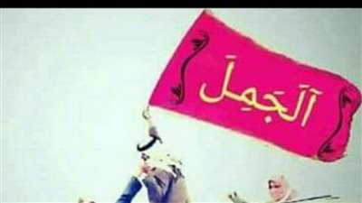 اصل عائلة الجمل