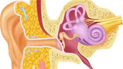 كيفية معرفته  ورم خلف الاذن من الأسباب والأعراض الى استراتيجيات العلاج