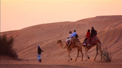 اصل عائلة المرعي