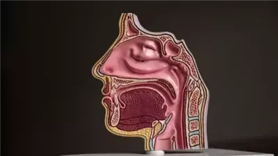 الغدة النكافية: تعرف على الأعراض والأسباب وطرق العلاج