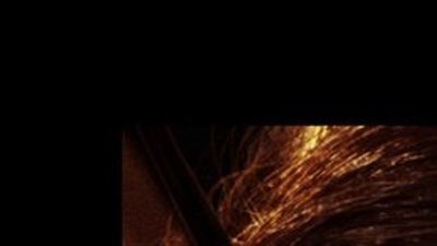 قصة فيلم The Hunger Games
