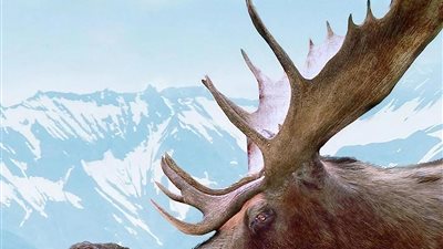 قصة مسلسل Northern Exposure