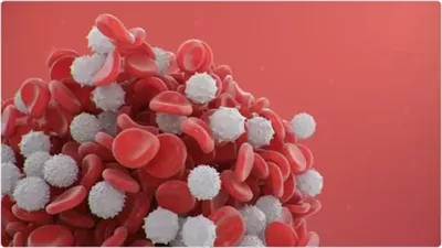 متى يكون ارتفاع كريات الډم البيضاء خطيراً؟