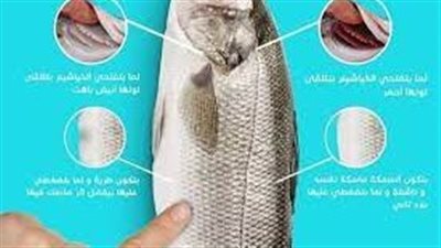 كيف تعرف السمك الفاسد؟