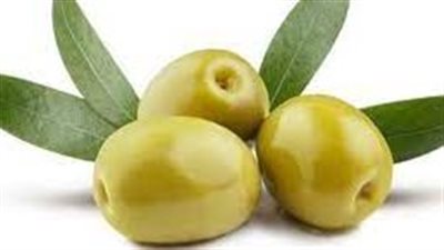 ثمار الزيتون