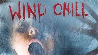 قصة فيلم Wind Chill 