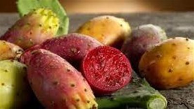 فوائد الصبار