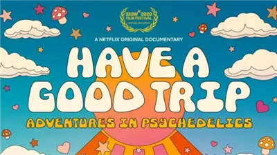 قصة فيلم Have a Good Trip 