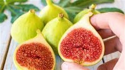 فوائد التين للحامل