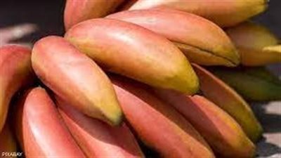 فوائد الموز الأحمر