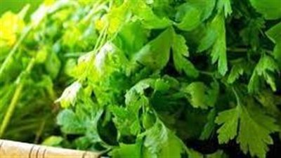 فوائد الكرفس والبقدونس