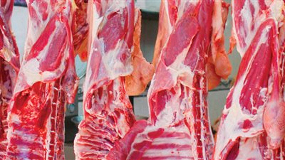700 رأس غنم تذبح يومياً في دمشق.. وأسعار اللحوم ارتفعت خمسة أضعاف