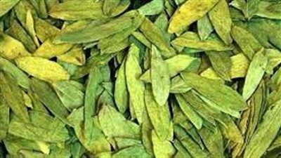 أضرار السنامكي
