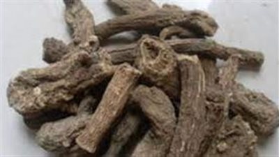 فوائد القسط الهندي للتنحيف