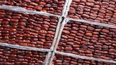 طرق حفظ التمر
