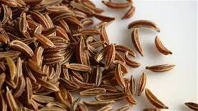 فوائد بذرة الشبت والشمر