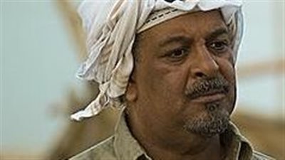 كل ما تريد معرفتة عن علي السبع