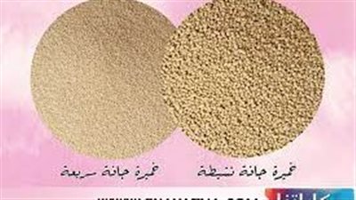 ما هو الفرق الفرق بين الخميرة الفورية وخميرة البيرة
