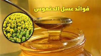 هل هناك فوائد لعسل الدغموس