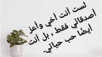 أجمل كلام عن الأخ الصغير