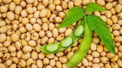 فوائد فول الصويا