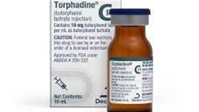 كل ما تريد معرفته عن استخدام دواء Butorphanol